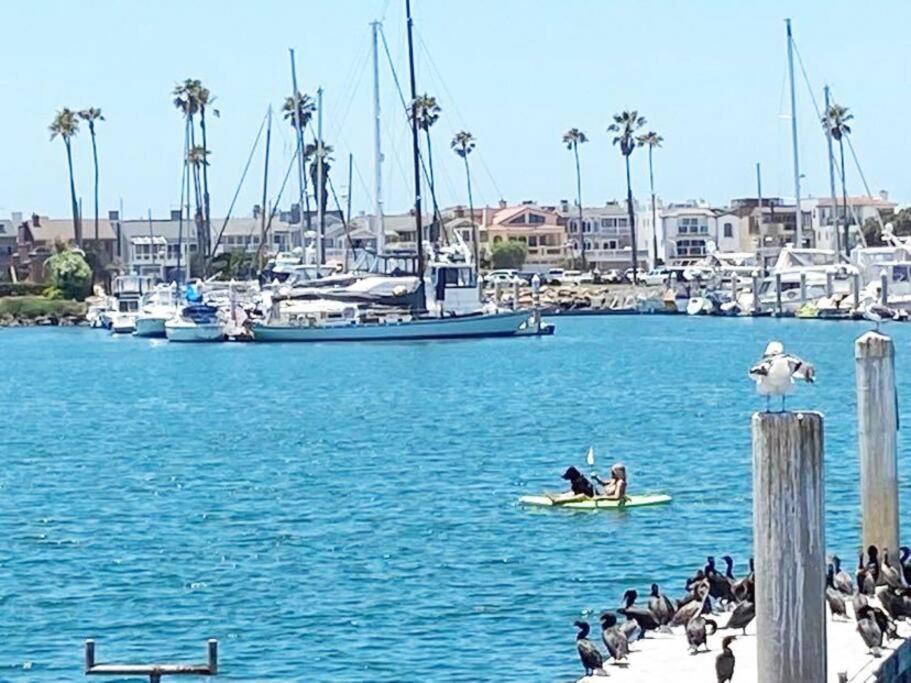 Gateway To Oxnard Beach מראה חיצוני תמונה